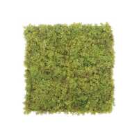 Read Evergreen Direct Reviews